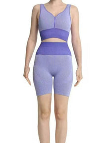 Snatched Seamless Bra And Biker Shorts Set